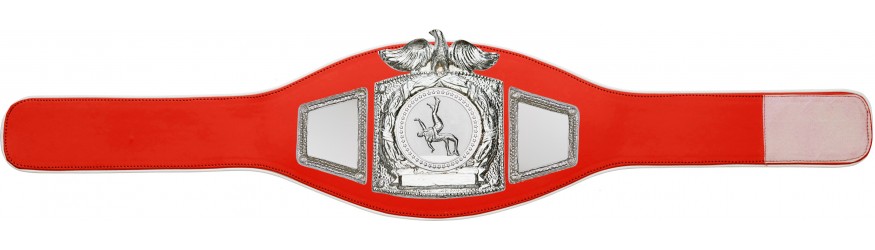 PROEAGLE WRESTLING CHAMPIONSHIP BELT - PROEAGLE/S/WRESTS - AVAILABLE IN 6+ COLOURS